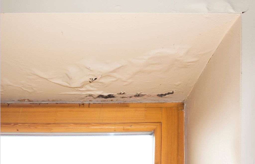 A picture of a ceiling with water leakage damage showing the importance of house siding options in preventing damage.