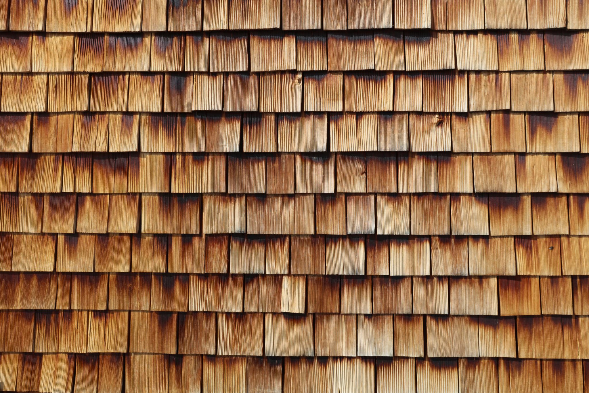 house siding options
