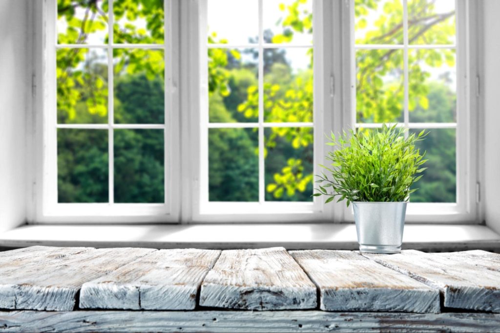 An inside picture of garden windows with a green houseplant sitting on a wood counter.
